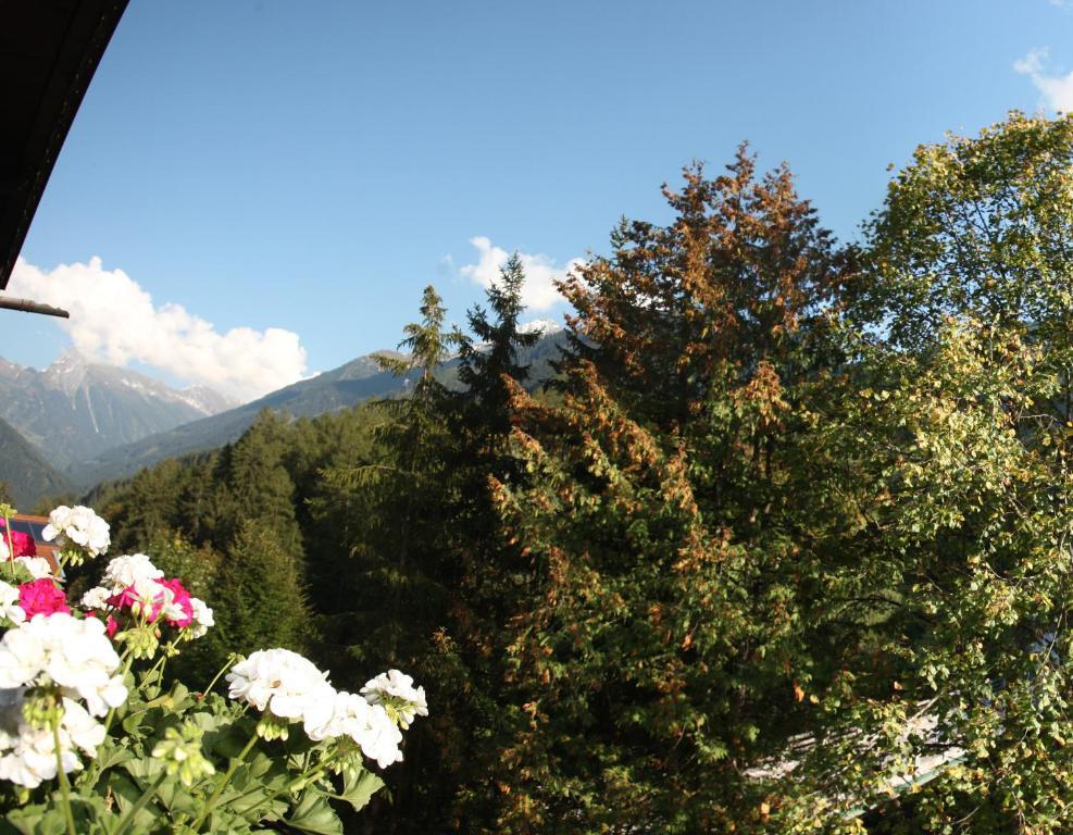 Apart Tuxertal Finkenberg Ruang foto